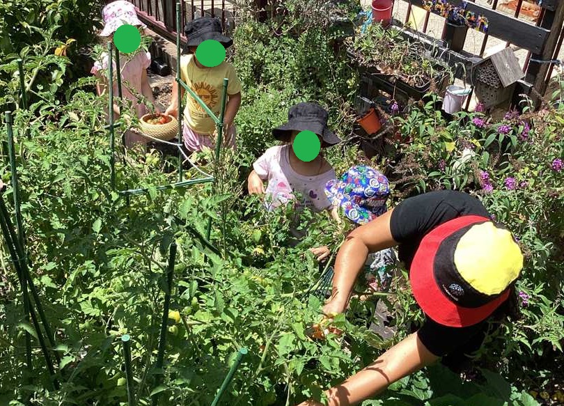 Gardening at Learn and Laugh Early Learning centre